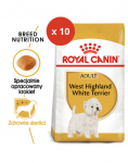 ROYAL CANIN West Highland White Terrier Adult  kuivtoit t&auml;iskasvanud koertele 1,5 kg x 10