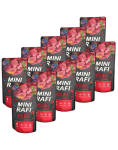 RAFI Mini veiselihaga 10x150 g m&auml;rgtoit v&auml;ikestele koerat&otilde;ugudele