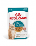 ROYAL CANIN Ageing 15+ Gravy 12x85 g t&uuml;kid kastmes vanematele kassidele alates 15. eluaastast