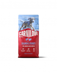 CARNILOVE Active Dog Salmon & Turkey 12 kg Junior Large Breeds l&otilde;he ja kalkun, suurte t&otilde;ugude noorte koerte toiduks