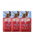 CARNILOVE Active Dog Salmon and Turkey Adult 3x4 kg l&otilde;he ja kalkun, t&auml;iskasvanud koertele