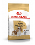 ROYAL CANIN Cavalier King Charles Spaniel Adult 4x1.5 kg kuivtoit t&auml;iskasvanud Cavalier King Charles Spaniel t&otilde;ugu koertele