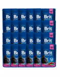 BRIT Premium Adult Maitsesegu 48 x 100 g kana ja kalkun, tursas, kassidele m&otilde;eldud kotikesed