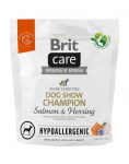 BRIT Care h&uuml;poallergeenne koerten&auml;itus Champion 1 kg