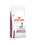 ROYAL CANIN Veterinary Diet Cardiac s&uuml;damepuudulikkusega koertele 2 kg