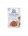 BRIT Care Sterilized Fillets Duck & Turkey 24 x 85g part ja kalkun kastreeritud kassidele tarretises