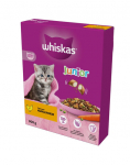 WHISKAS Junior 300 g kuiv t&auml;istoit kassipoegadele maitsva kanaga
