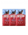 CARNILOVE Active Dog Salmon & Turkey Adult Small Breeds 3x4 kg l&otilde;he ja kalkun, t&auml;iskasvanud v&auml;ikeste t&otilde;ugude koertele