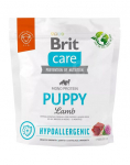 BRIT Care h&uuml;poallergeenne kutsikas lambalihaga 1 kg