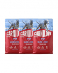 CARNILOVE Active Dog Salmon & Turkey Adult Large Breeds 3x4 kg l&otilde;he ja kalkun, t&auml;iskasvanud suurte t&otilde;ugude koertele