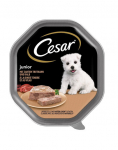 CESAR Junior pakend 28 x 150 g kalkuni- ja vasikaliha pastett kutsikatele 14+14 TASUTA