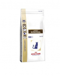 ROYAL CANIN GASTROINTESTINAL kassidele soolestiku imendumish&auml;irete v&auml;hendamiseks 2 kg