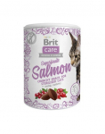 BRIT Care kasside maiuspalad Superfruits Salmon 100g