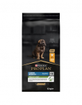 PURINA PRO PLAN suurt t&otilde;ugu massiivse kehaehitusega kutsikate tervislik start 12 kg