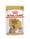 ROYAL CANIN Breed Mini Yorkshire 12 x 85 g koeratoit Yorkidele