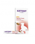 KATTOVIT Renal Cream 6x15g kasside maiuspala Kana kreem