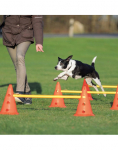 TRIXIE Dog Activity barjerai &scaron;unims trijų dalių rinkinys