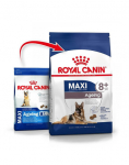 ROYAL CANIN Maxi Ageing 8+ 30 kg (2 x 15 kg) kuivtoit k&uuml;psetele suurt t&otilde;ugu &uuml;le 8-aastastele koertele.