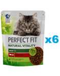 PERFECT FIT Natural Vitality 1+ kuiv t&auml;istoit t&auml;iskasvanud kassidele veise- ja kanalihaga 6x650g