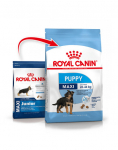 Royal Canin Maxi Junior 4 kg