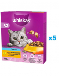 WHISKAS Steril 5x800g kuivtoit kana steriliseeritud kassidele