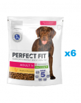 PERFECT FIT Adult 1+ kuiv t&auml;istoit t&auml;iskasvanud suurtele t&otilde;ukoertele, mis sisaldab rohkelt kana 6x825 g.