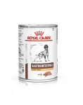 ROYAL CANIN Veterinary Gastrointestinal High Fibre 24x410 g pasteet pasteet seedetrakti h&auml;iretega koertele