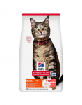 HILL'S Science Plan Feline Adult Salmon 10 kg kuivtoit l&otilde;hega t&auml;iskasvanud kassidele