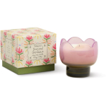 Paddywax Tulip Bronzed Gardenia l&otilde;hnak&uuml;&uuml;nal 155 g