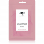 AA Cosmetics LAAB 100% Centella B12 h&uuml;drogeelmask niisutava toimega 1 tk