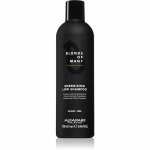 Alfaparf Milano Blends of Many Energizing Energiat andev &scaron;ampoon &otilde;hukestele ja peadligi hoidvatele juustele 250 ml