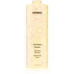 amika Velveteen dream Silendav &scaron;ampoon niiskusevastane 1000 ml