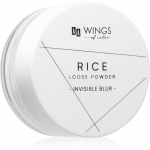AA Wings of Color Rice L&auml;bipaistev tolmpuuder 9 g
