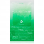 AXIS-Y Mugwort Green Vital Energy Complex Sheet Mask Niisutav ja rahustav lehtmask 27 ml