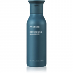AYUNCHE Refreshing Shampoo V&auml;rskendav &scaron;ampoon rasustele juustele ja peanahale 200 g