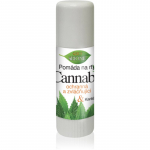 Bione Cosmetics Cannabis Huulepalsam 11 ml