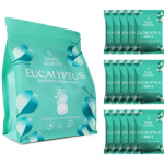 Body Restore Eucalyptus & Mint Shower Steamers du&scaron;itabletid 15 tk