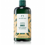 The Body Shop Ginger Shampoo K&otilde;&otilde;mavastane &scaron;ampoon 250 ml