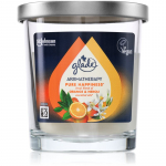 GLADE Aromatherapy Pure Happiness l&otilde;hnak&uuml;&uuml;nal 170 g