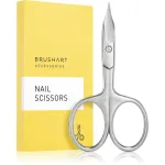 BrushArt Accessories Nail scissors K&uuml;&uuml;nek&auml;&auml;rid varjund SIlver 1 tk