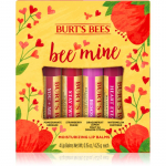 Burt&rsquo;s Bees Bee Mine Huulepalsam mesilasvahaga maitse Pomegranate, Strawberry, Dragonfruit Lemon, Watermelon 4x4.25 g