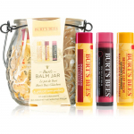 Burt&rsquo;s Bees Balm Jar Kinkekomplekt huultele