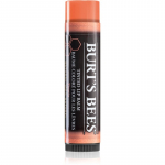 Burt&rsquo;s Bees Tinted Lip Balm Huulepalsam varjund Zinnia 4.25 g