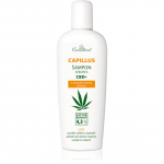 Cannaderm Capillus Seborea CBD+ Shampoo &Scaron;ampoon k&otilde;&otilde;ma vastu 150 ml