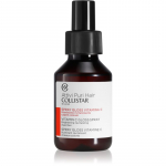 Collistar Hair VITAMIN C Gloss Spray Brightening Revitalizing Juukselakk C-vitamiiniga 100 ml