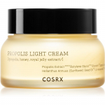 Cosrx Full Fit Propolis Kerge kreem intensiivseks niisutamiseks 65 ml