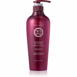 DAENG GI MEO RI Conditioner for all hair Palsam k&otilde;igile juukset&uuml;&uuml;pidele 500 ml