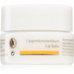 Dr. Hauschka Eye And Lip Care Huulepalsam toitva toimega 4.5 ml