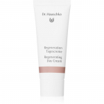 Dr. Hauschka Regeneration Taastav p&auml;evakreem k&uuml;psele nahale 40 ml