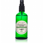 Dr. Feelgood BIO Peppermint Rahustav &otilde;ievesi piparm&uuml;ndiga 100 ml
